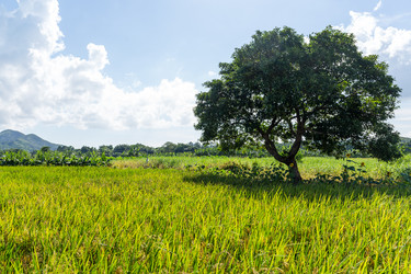 Similar image 11853344