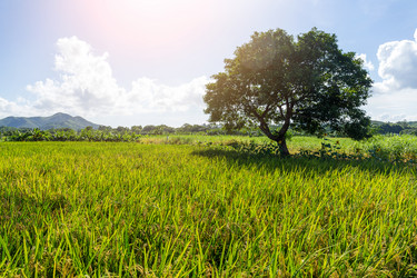 Similar image 11853346