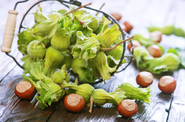 Similar image 11848993