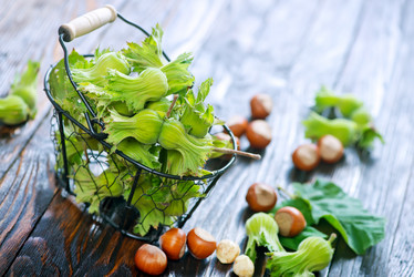 Similar image 11848995