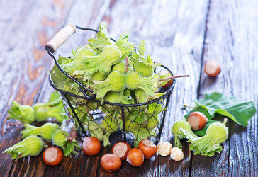 Similar image 11848997