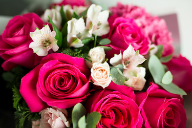 Similar image 11853948