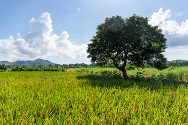 Similar image 11853102