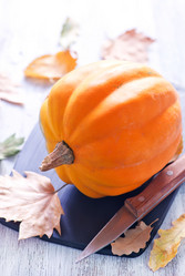 Similar image 11849263