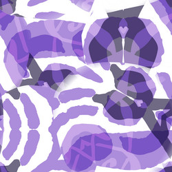 Similar image 11854969