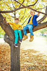 Similar image 11846208