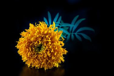 Similar image 11862831