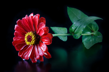 Similar image 11862832