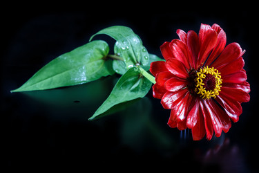 Similar image 11862833