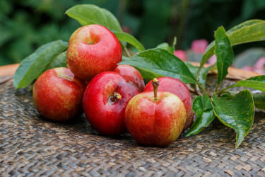 Similar image 11863832