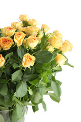 Similar image 11872131