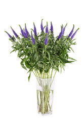 Similar image 11872133