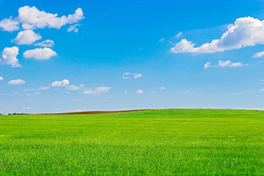 Similar image 11872134