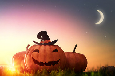 Similar image 11845861