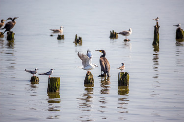 Similar image 11880138