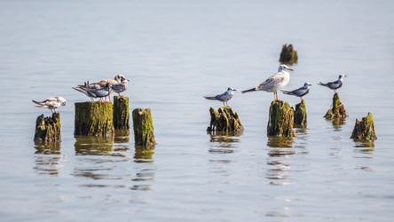 Similar image 11880140