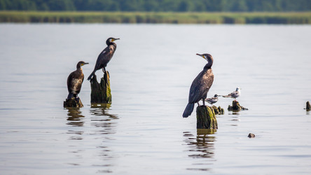 Similar image 11880145