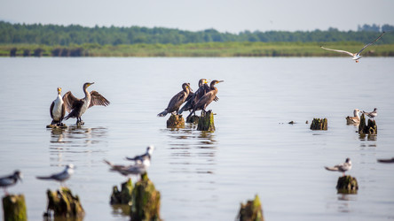 Similar image 11880148