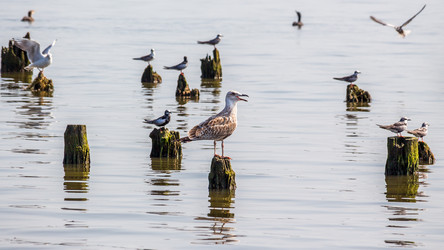 Similar image 11880150