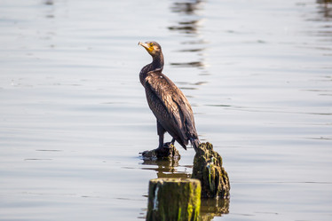 Similar image 11880151