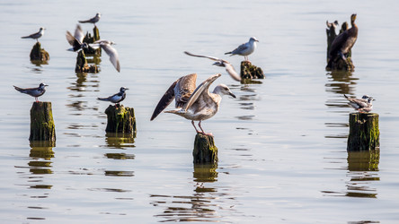 Similar image 11880152