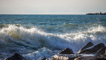 Similar image 11880172