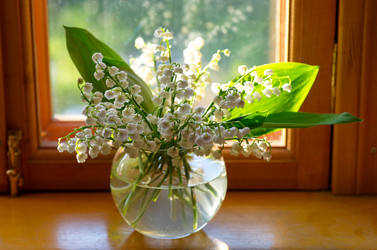 Similar image 11862740