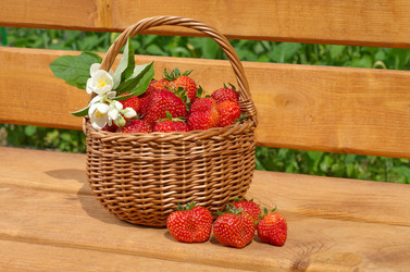 Similar image 11862741