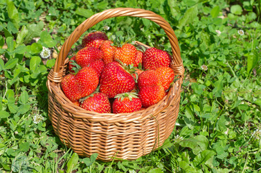 Similar image 11862742