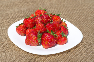 Similar image 11862762