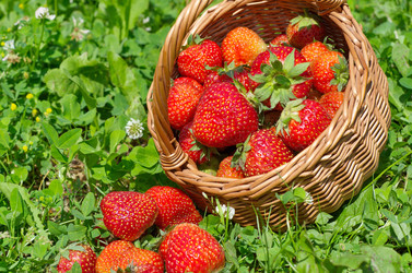 Similar image 11862763