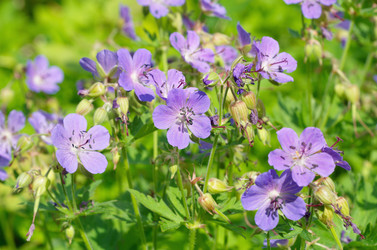 Similar image 11862775