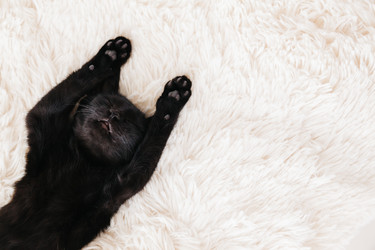 Similar image 11846449