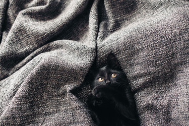 Similar image 11846452