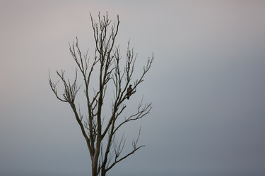 Similar image 11846052