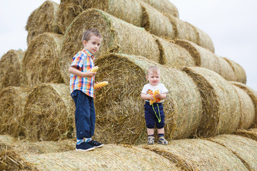 Similar image 11846054