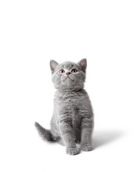 Similar image 11865382