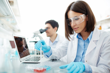 Similar image 11847320