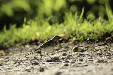 Similar image 11862332