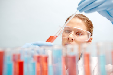 Similar image 11850840