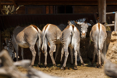 Similar image 11855326