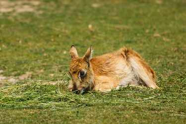 Similar image 11855329