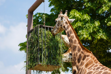 Similar image 11855333