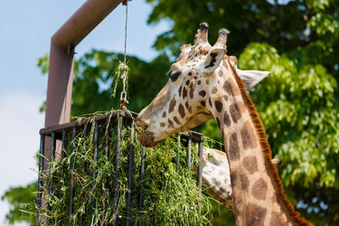 Similar image 11855334