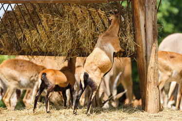 Similar image 11855307