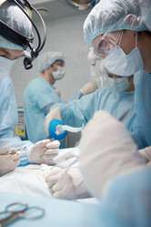 Similar image 11850889