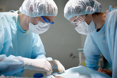 Similar image 11850893