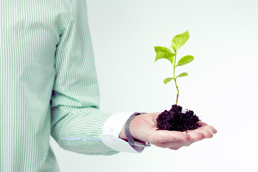 Similar image 11851233