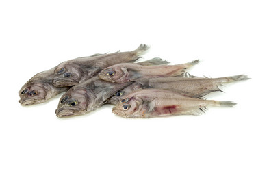 Similar image 11862553