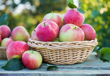 Similar image 11858959